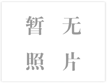 M、AH、HH型渣漿泵